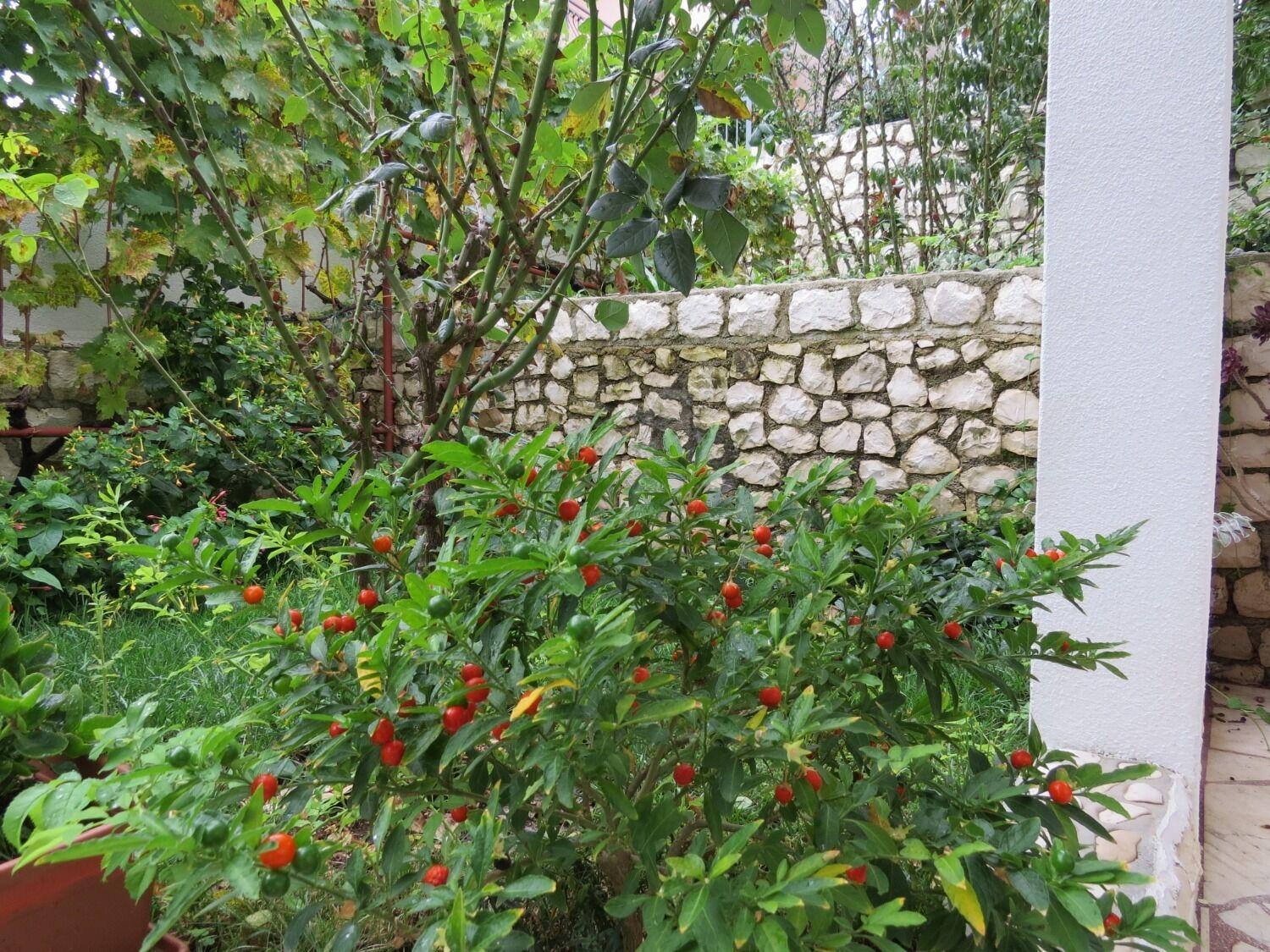Apartment Bubi Trogir Bagian luar foto